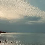 Balani