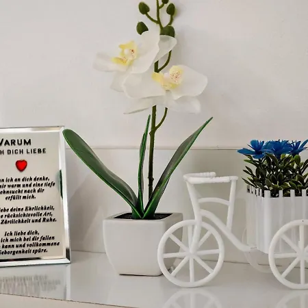 Balani Villa Široka